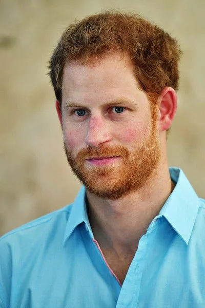 Harry de Sussex